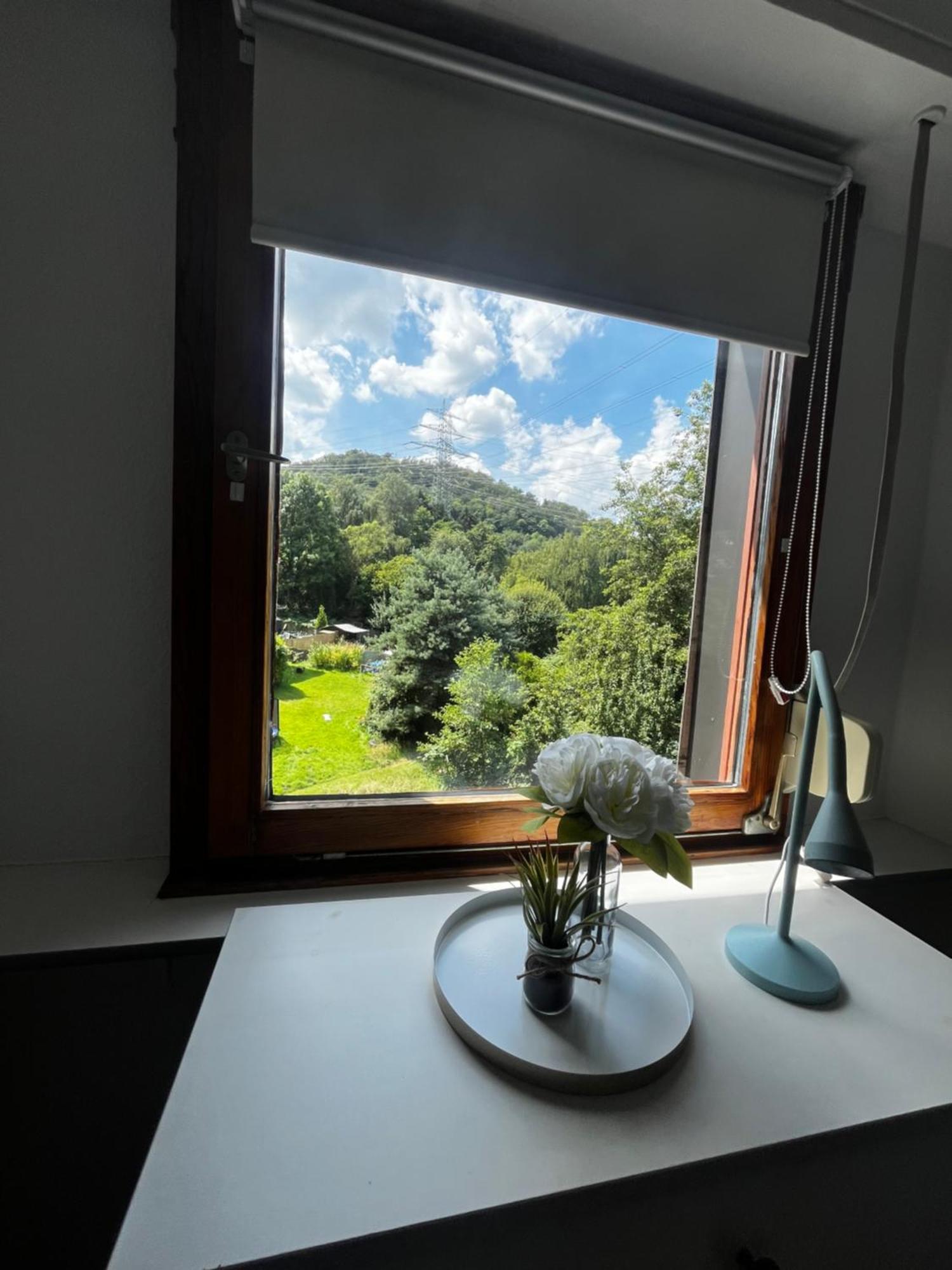 Apartment Idyllisch Wohnen An Der Ruhr *